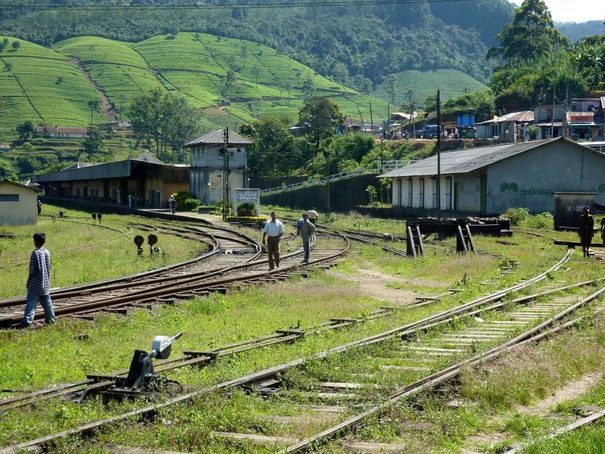 The Train View Bed and Breakfast Νουβάρα Ελίγια Εξωτερικό φωτογραφία